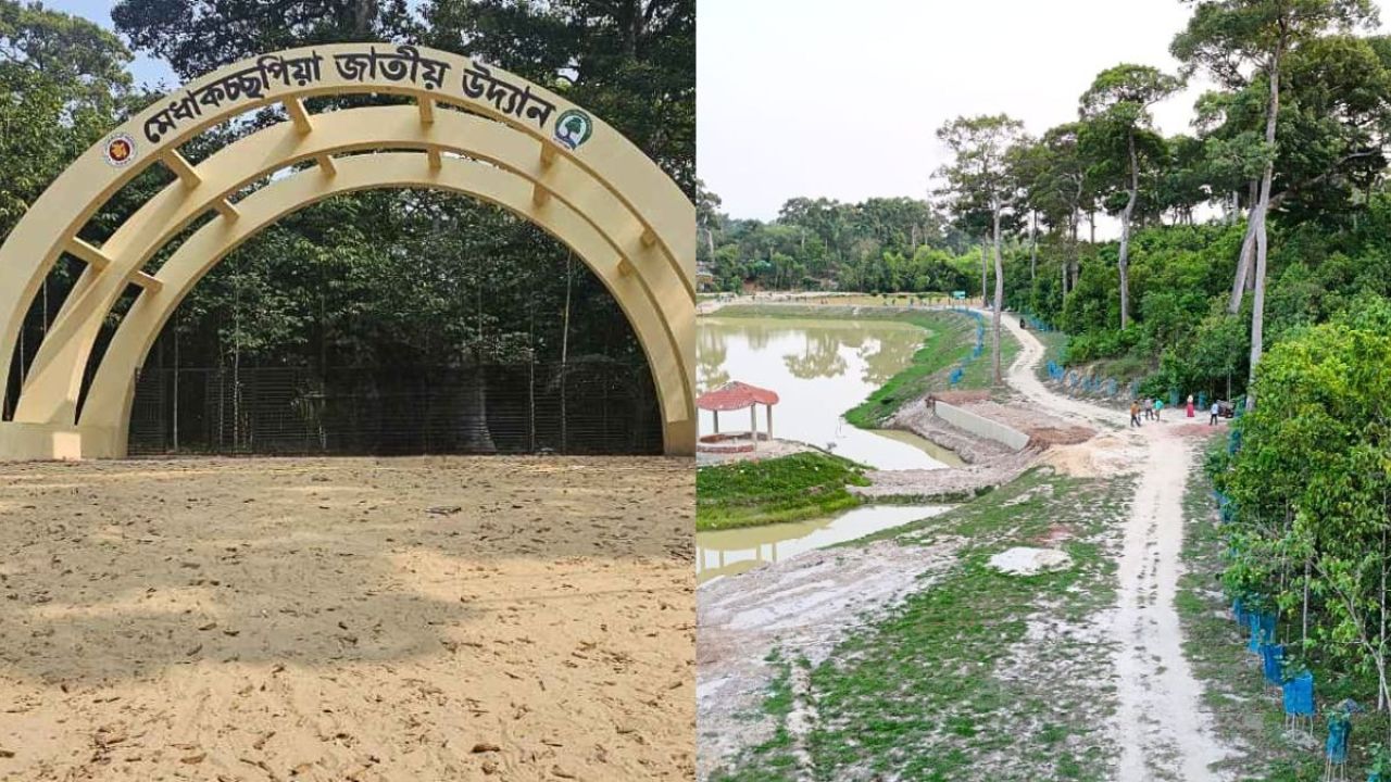 দখল ও উজাড়ে অস্তিত্ব সংকটে মেধাকচ্ছপিয়া জাতীয় উদ্যান