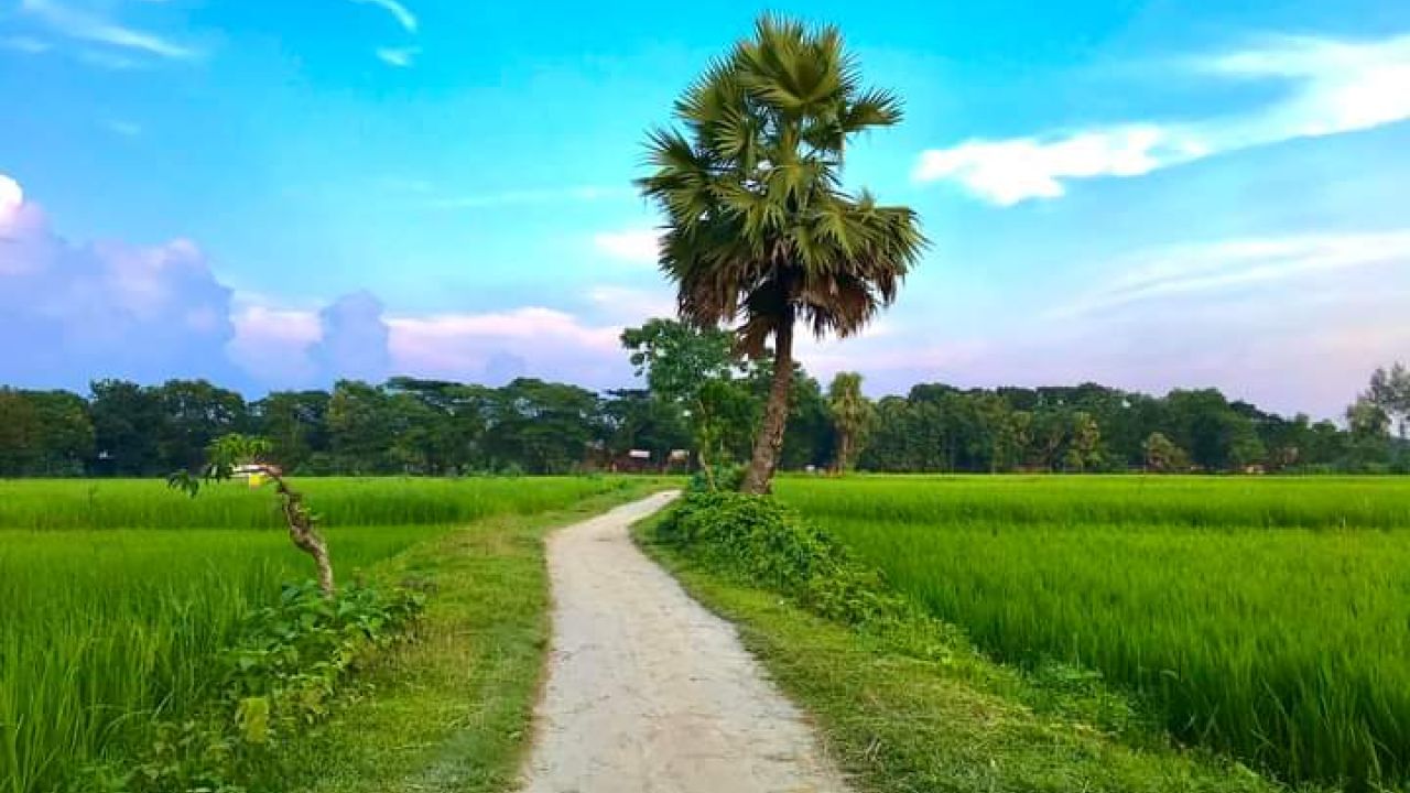 শূন্যতার স্থাপত্য
