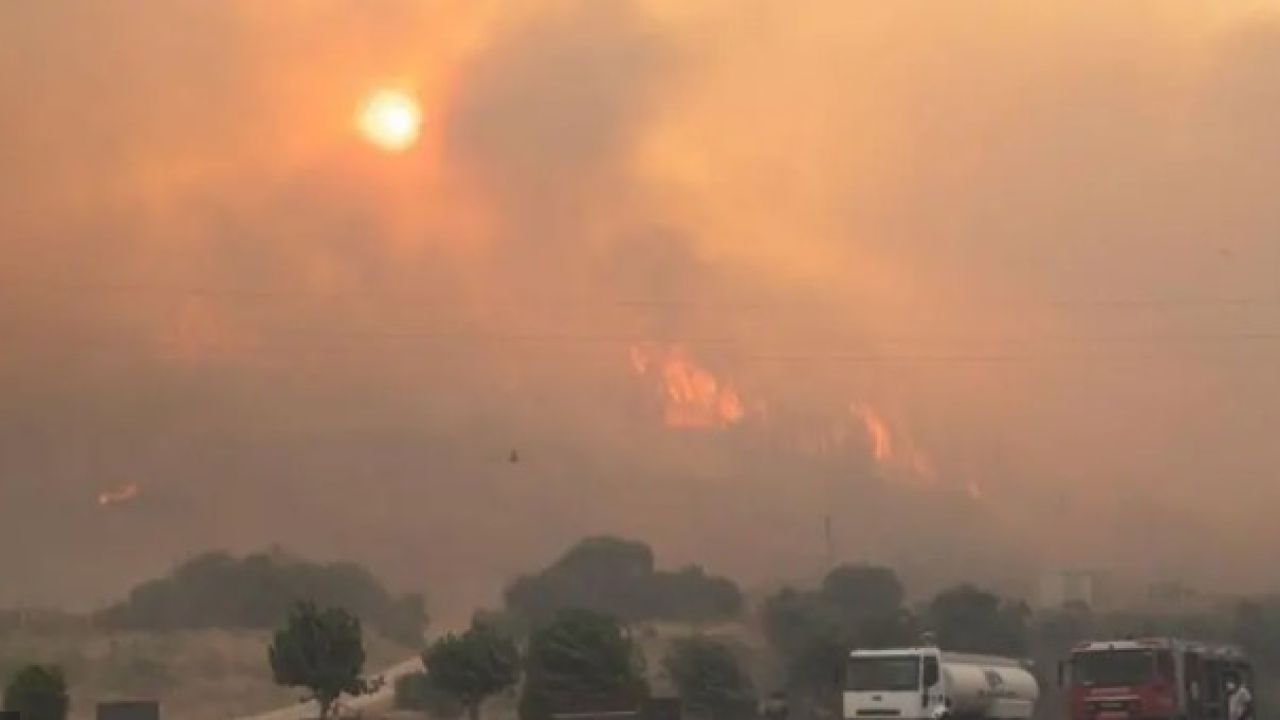 দাবদাহে পুড়ছে ইউরোপ, ফ্রান্সে ১৮ প্রাণহানি 