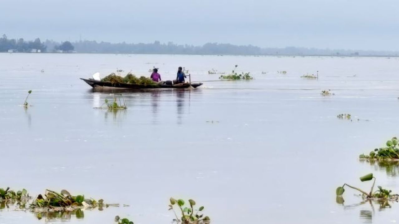 উজানের ঢলে তিস্তায় ‘বান’, খোলা ৪৪ জলকপাট