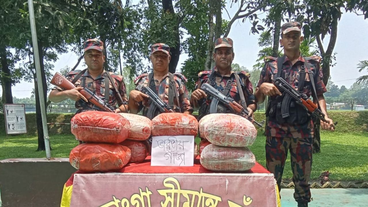 সীমান্তে যেভাবে ধরা পড়ল ৫৩ কেজি ভারতীয় গাঁজা