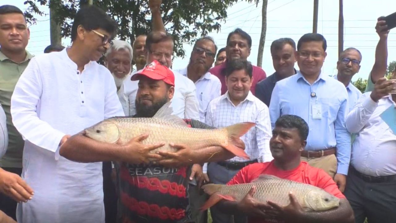 মাছ রপ্তানি নিয়ে বড় ঘোষণা দিলেন মন্ত্রী