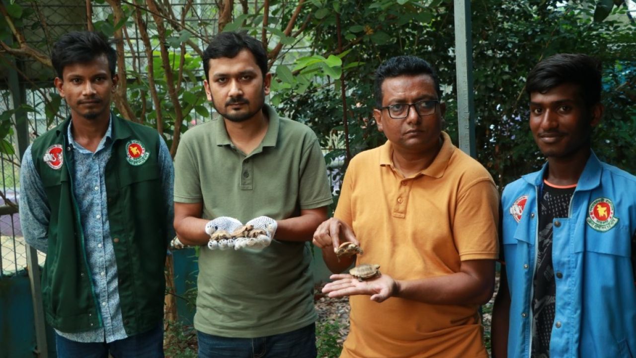 মহাবিপন্ন হলুদ কাছিমের ডিম ফুটল চট্টগ্রাম চিড়িয়াখানায়