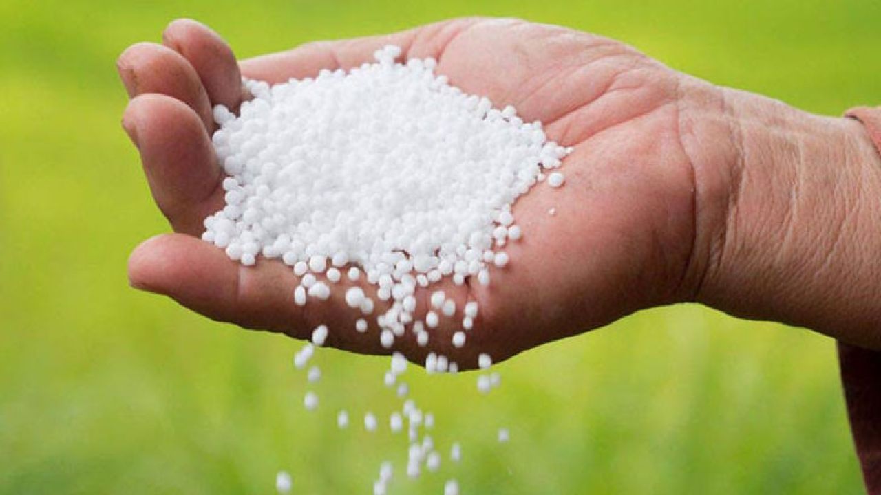 ৬০ হাজার টন সার আমদানি করছে সরকার