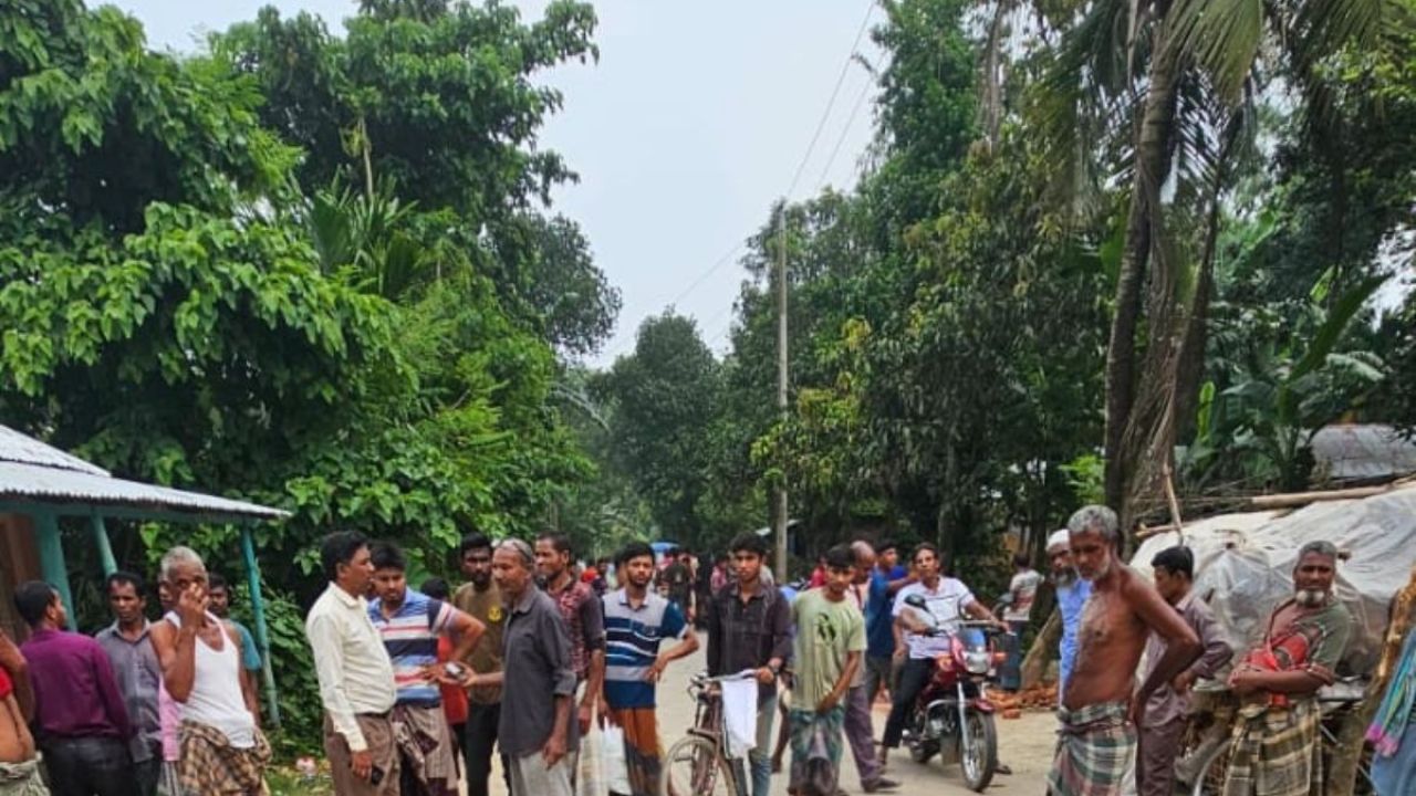 পীরগঞ্জে পিকআপের ধাক্কায় চালকসহ নিহত ২