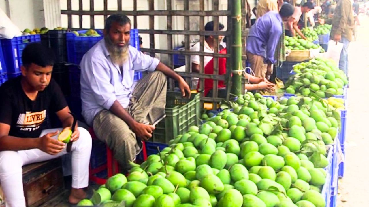 হাঁড়িভাঙ্গার জাদুতে মাতোয়ারা জার্মানি