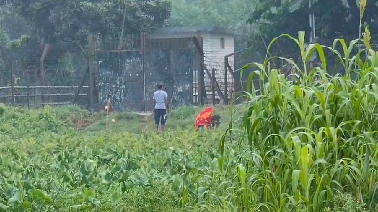 গাংনী সীমান্তে চতুর্থবারের মতো বিএসএফের পুশ ইন চেষ্টা পণ্ড