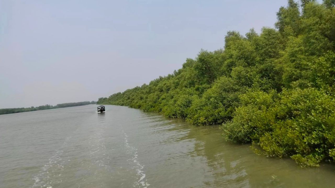 সুন্দরবনে কোস্ট গার্ডের সঙ্গে বনদস্যুদের গোলাগুলি, নিহত ১
