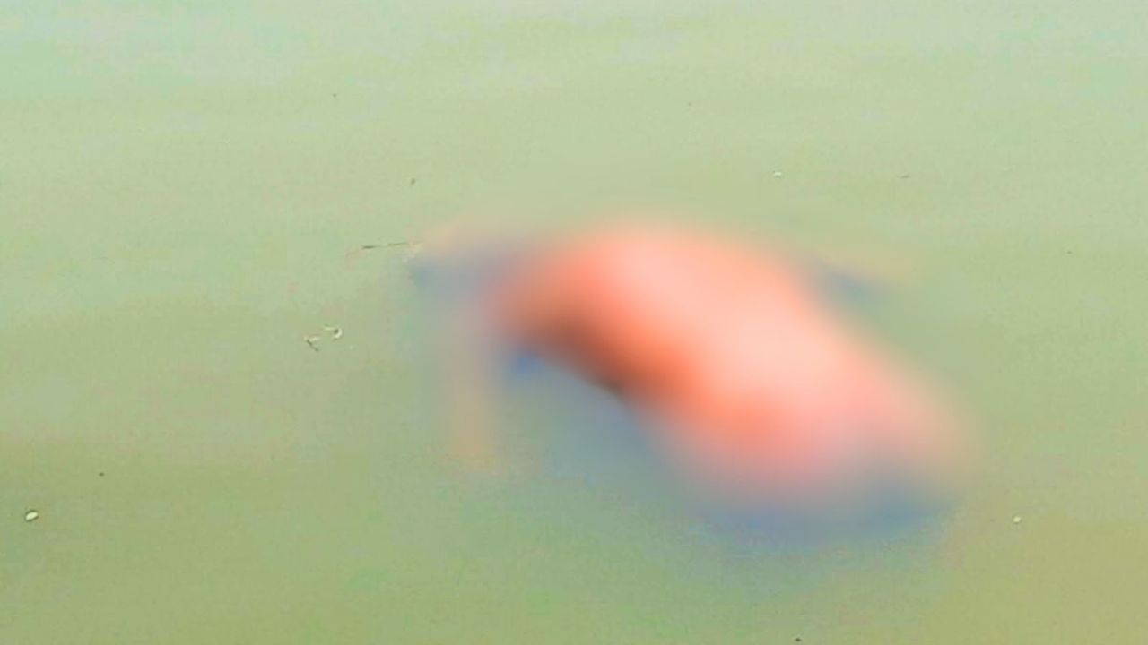 আত্রাই নদী থেকে বৃদ্ধের মরদেহ উদ্ধার