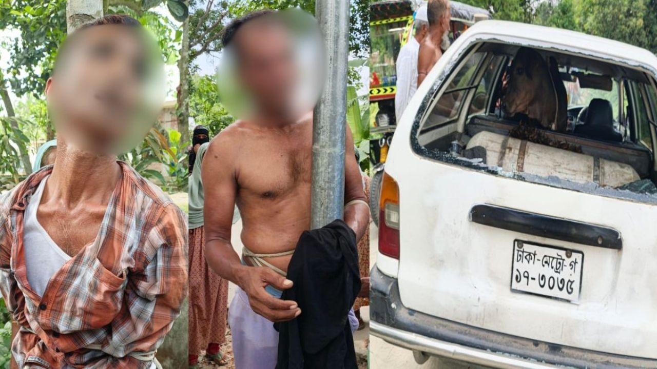 প্রাইভেটকারে বাছুর চুরির চেষ্টা, আটক ২