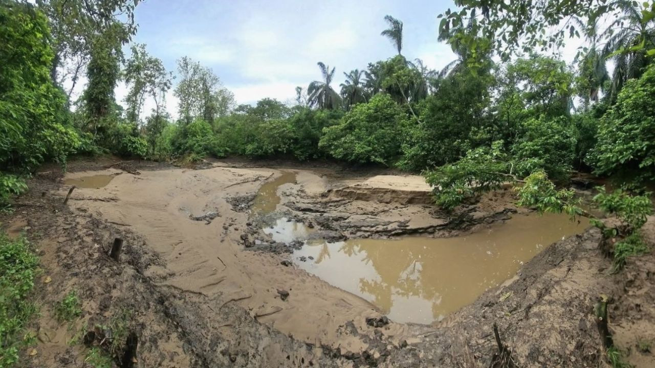 সাতছড়ি উদ্যানে ‘জলাধার’ ঘিরে গভীর উদ্বেগ