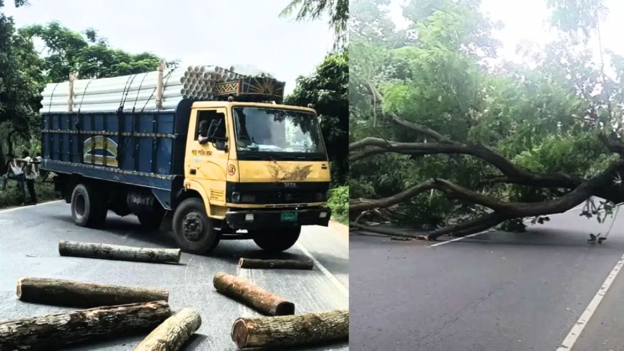 আসলাম চৌধুরীর প্রার্থিতা বাতিল, সীতাকুণ্ডে মহাসড়ক অবরোধ
