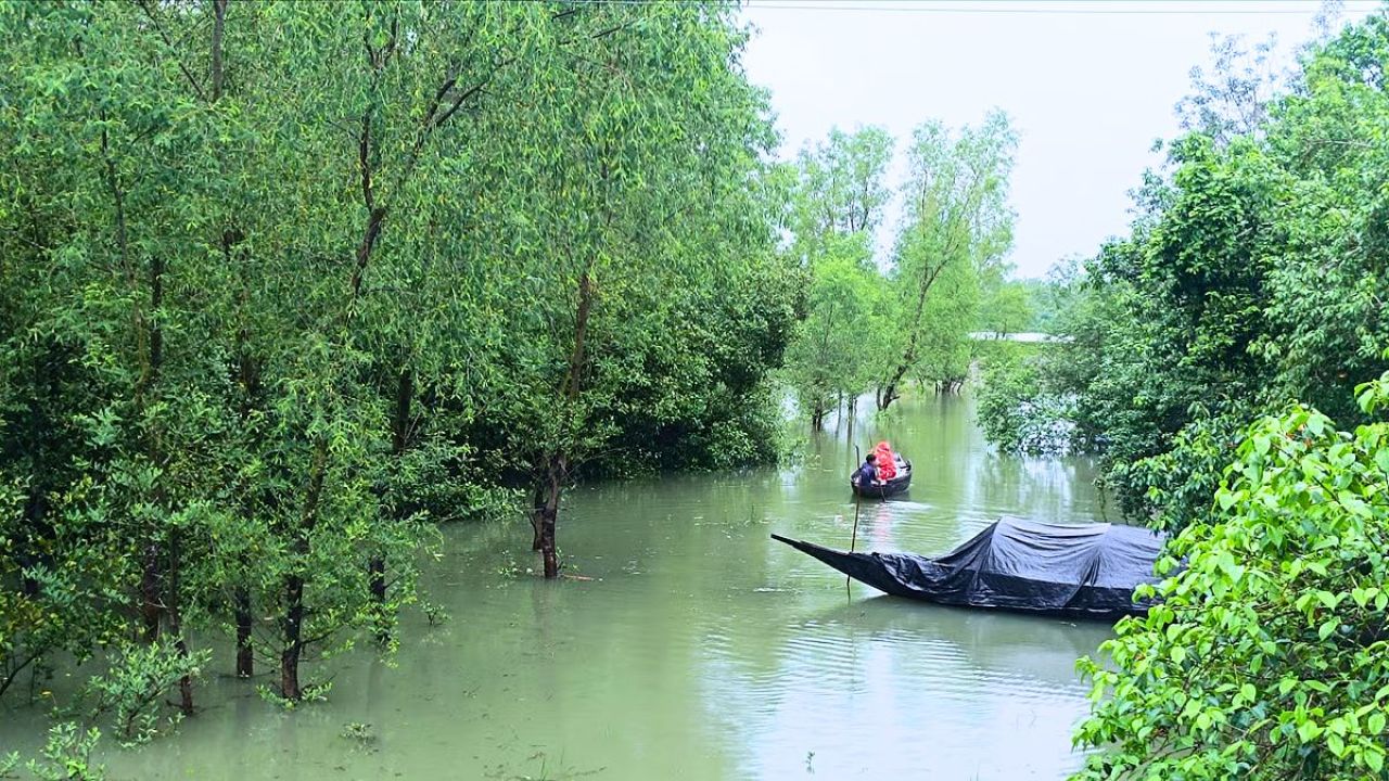 সুন্দরবন বাঁচাতে শ্যামনগরে ‘লংমার্চ ফর ফরেস্ট’