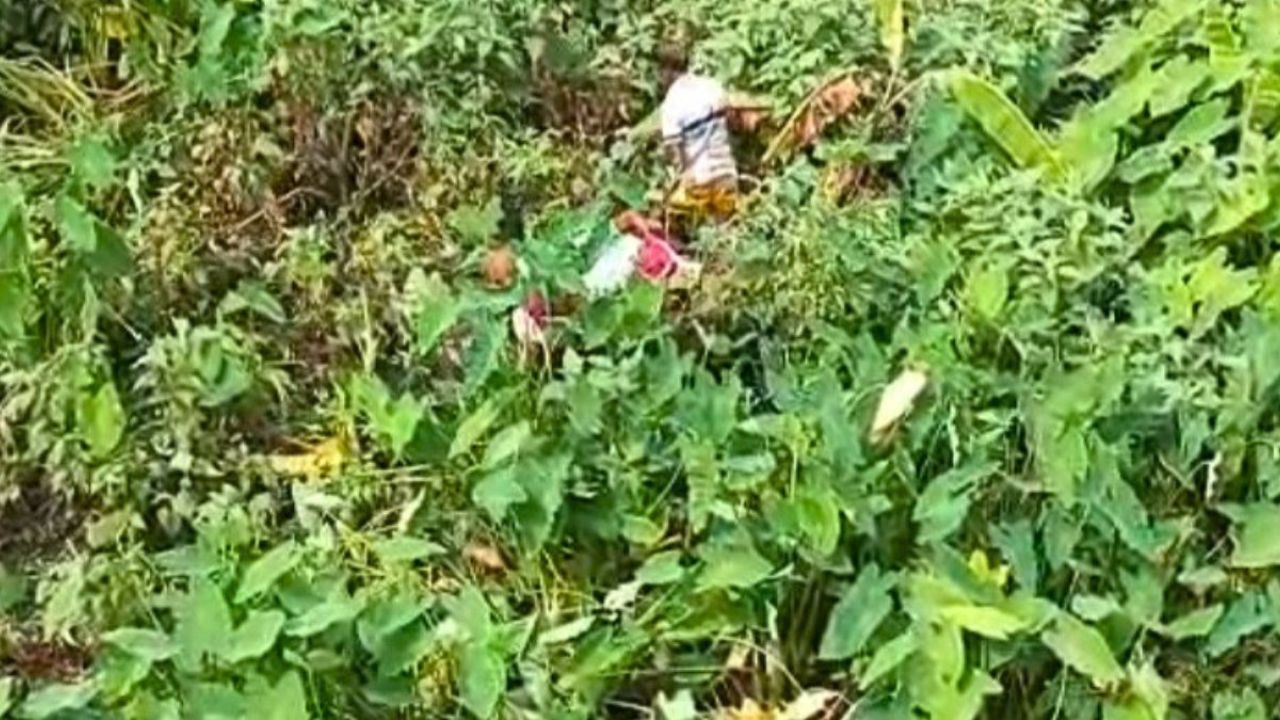 সখিপুরে নিখোঁজের ১ দিন পর ডোবায় মিলল নারীর মরদেহ