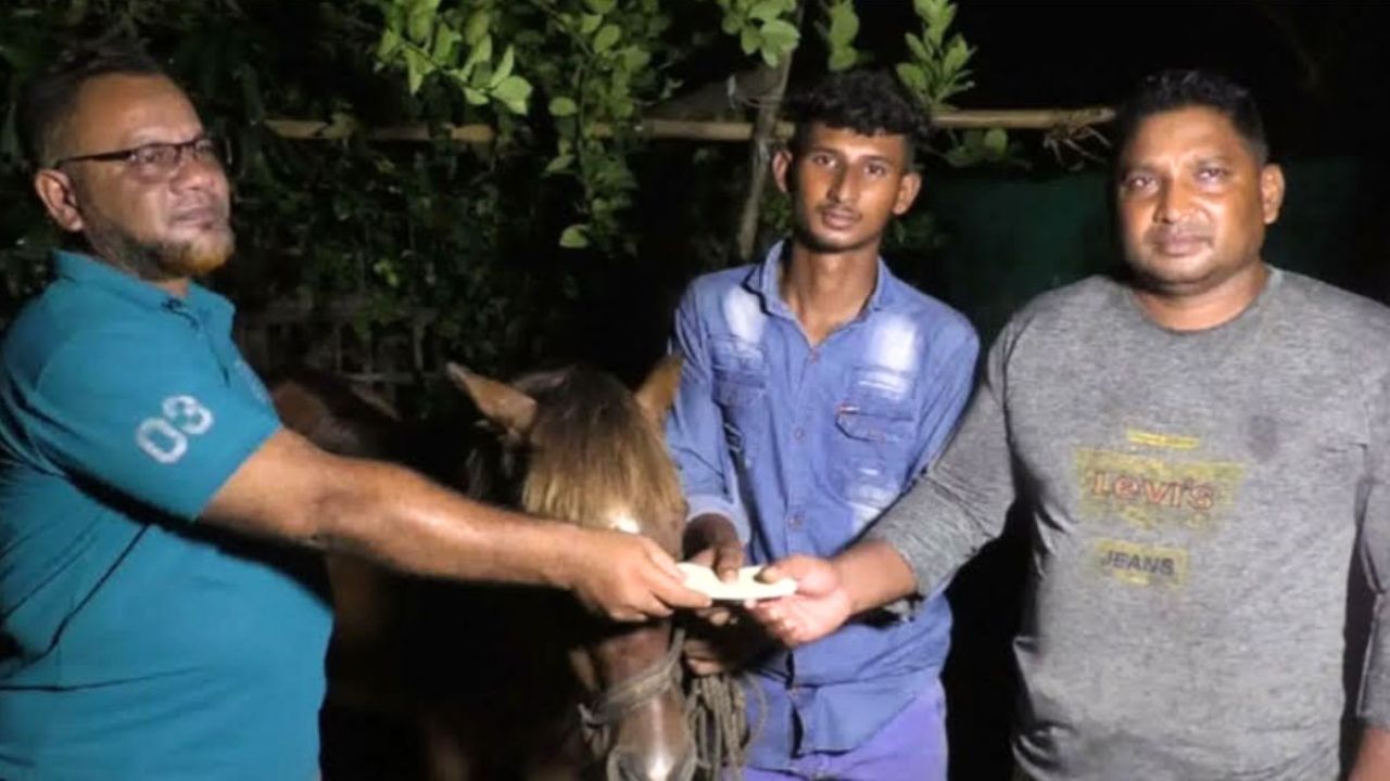 মানবিকতার পুরস্কার পেলেন কলারোয়ার কলেজছাত্র সোহান