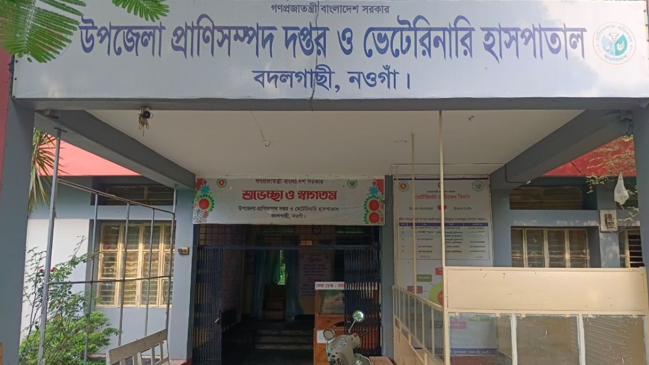 বদলগাছী প্রাণিসম্পদ কর্মকর্তার বিরুদ্ধে অনিয়মের অভিযোগ