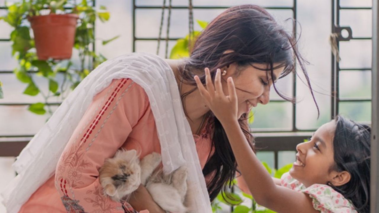 নির্মিত হচ্ছে ‘ঠান্ডা গোশত ২.০’