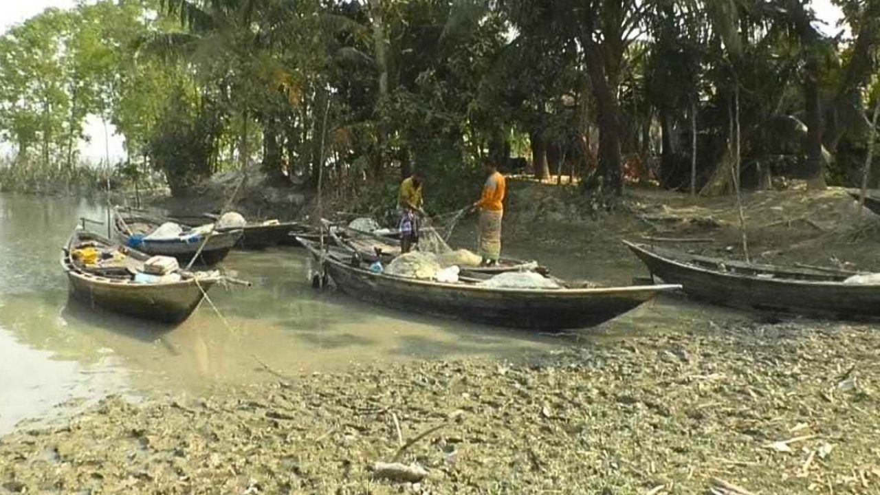 ভরা মৌসুমেও পায়রা-লোহালিয়ায় ইলিশের আকাল