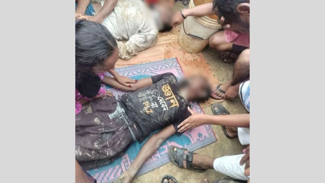 কৃষিজমিতে বিদ্যুৎস্পৃষ্টে দুই ভাইয়ের করুণ মৃত্যু