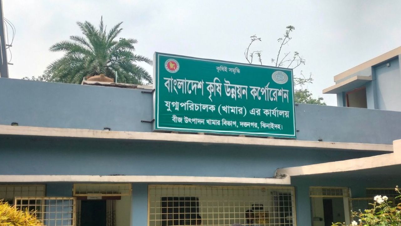 দেশের ভিত্তি বীজের বড় জোগানদাতা দত্তনগর
