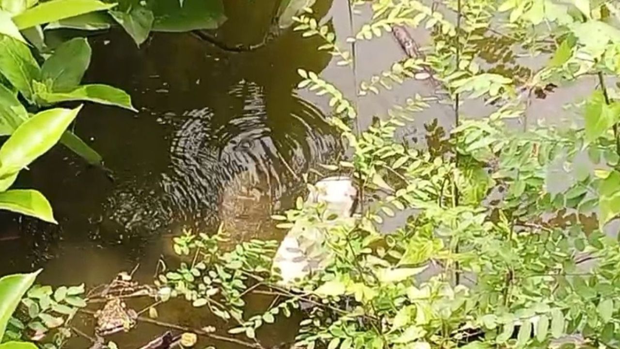 ৬০ দিন ধরে গ্যাস লিকেজ, আতঙ্কে মতলববাসী