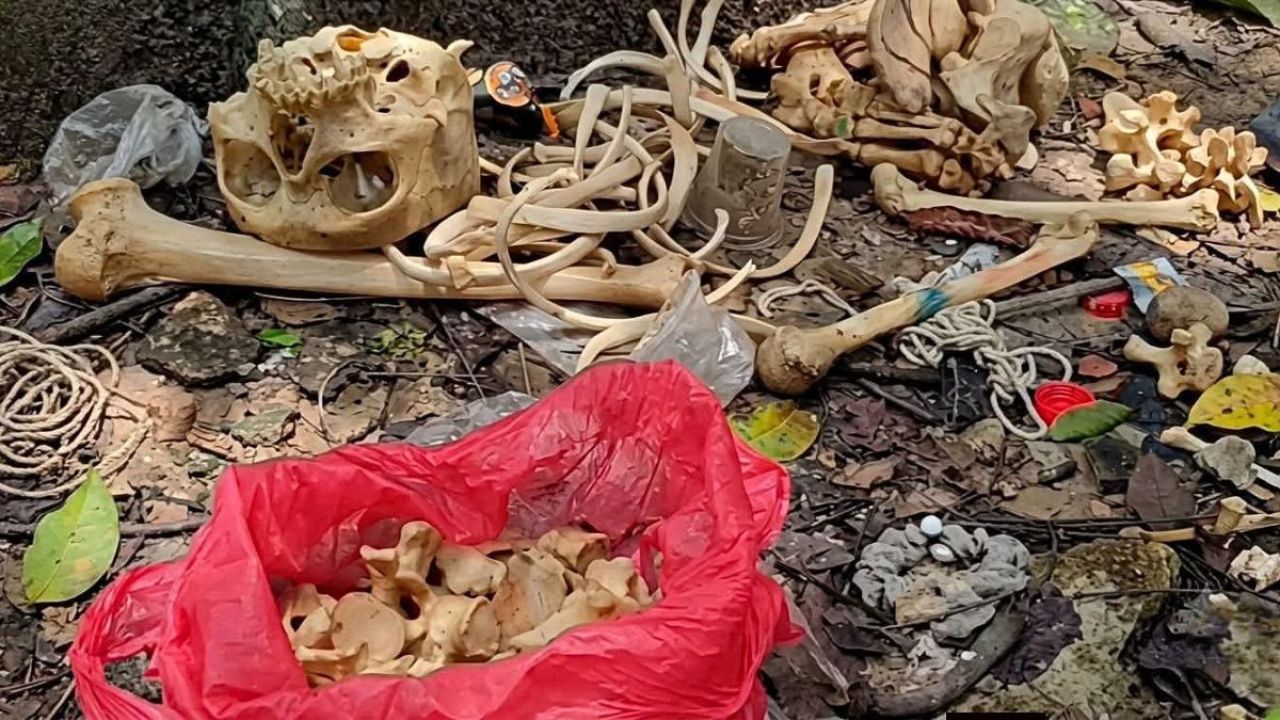 কঙ্কাল আতঙ্কের নেপথ্যে অদ্ভুত এক গল্প