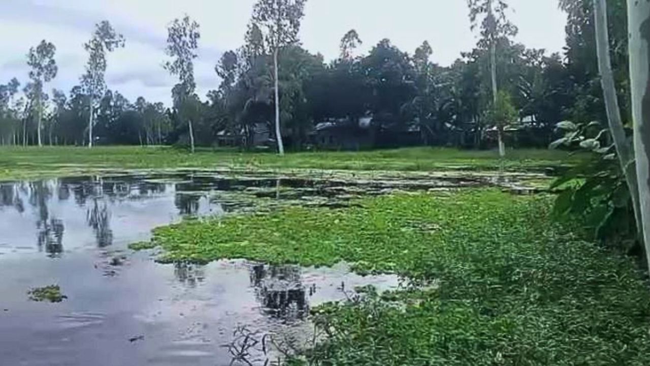 ব্রিজের ওপর বাড়ি, সুন্দরগঞ্জে ৫ হাজার একর জমির চাষাবাদ অনিশ্চিত