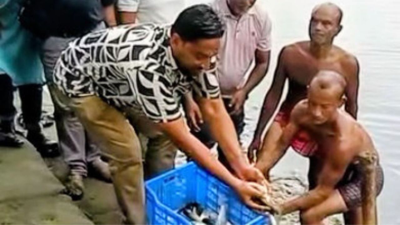 বিশ্বখালে ১০ হাজার মাছের পোনা অবমুক্ত করলেন এমপি শেখ ফরিদ আহমেদ মানিক
