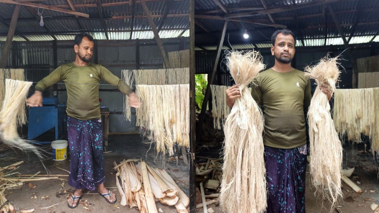 ফেলে দেওয়া কলাগাছই এখন আয়ের উৎস!