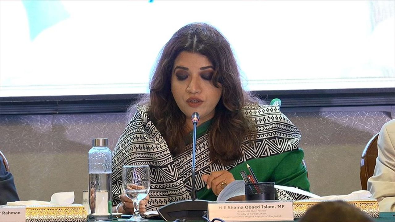 সার্কের সংকট কেবল রাজনৈতিক নয়, প্রাতিষ্ঠানিকও: পররাষ্ট্র প্রতিমন্ত্রী