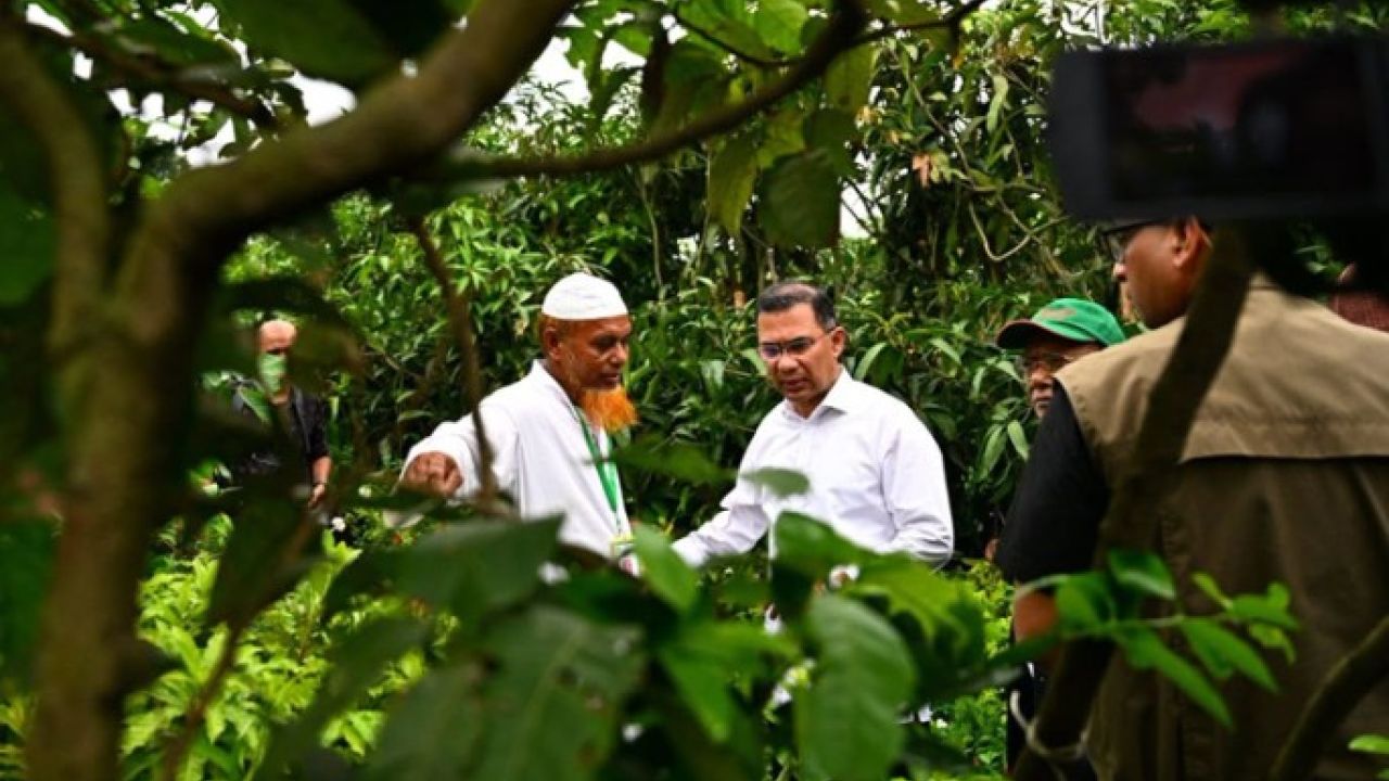 দেশকে ‘সবুজ বসতি’ হিসেবে গড়ার উদ্যোগ