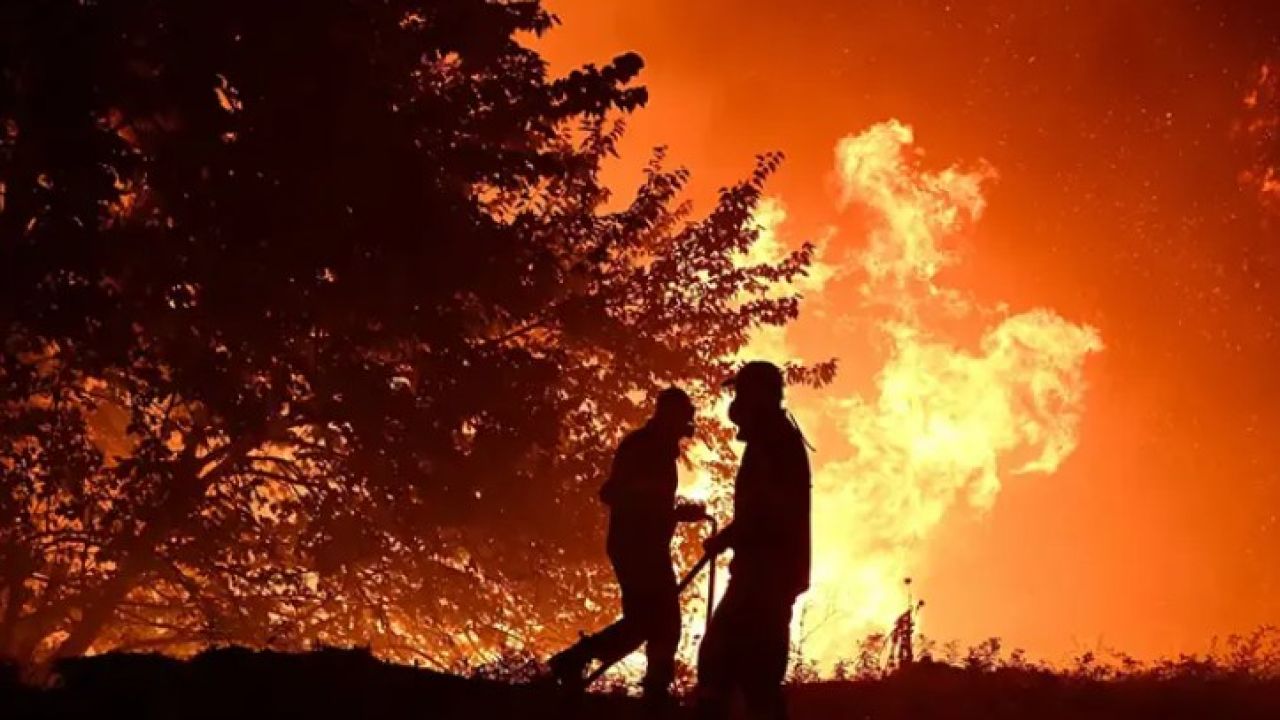 তাপপ্রবাহের মধ্যেই দাবানল, স্পেনে মৃত ১১