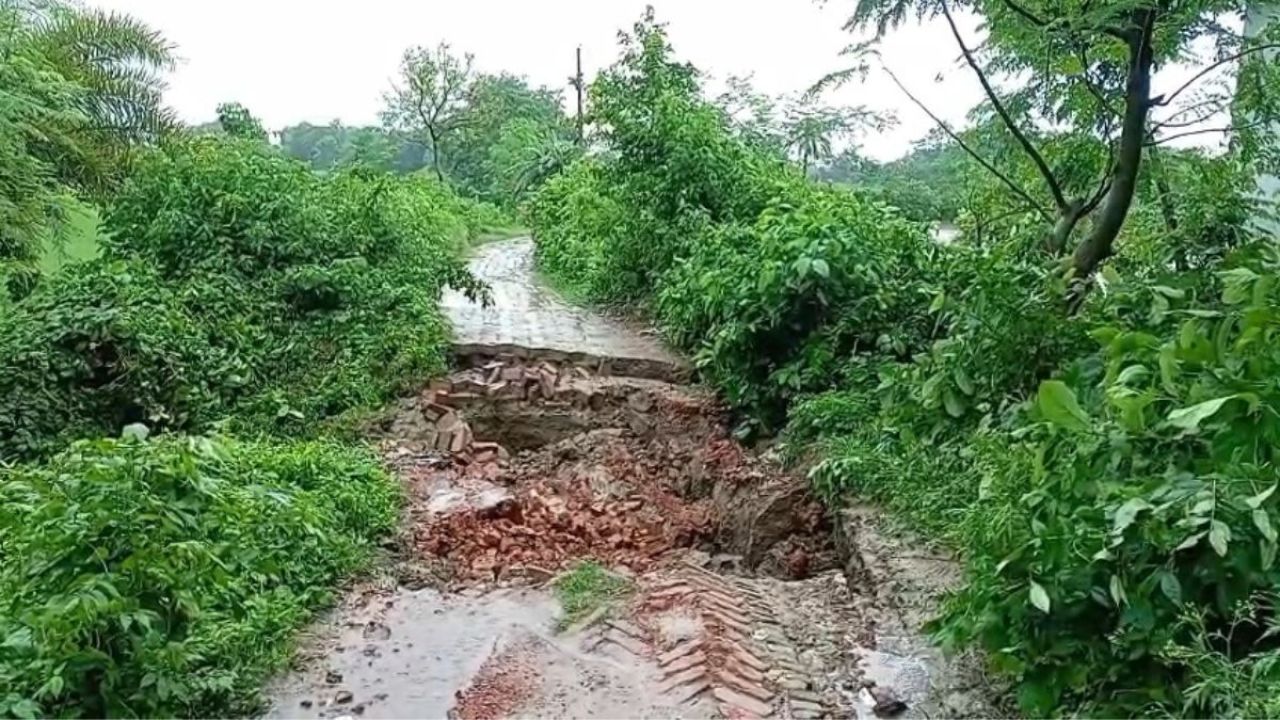 রেকর্ড বৃষ্টিতে ভাসছে চুয়াডাঙ্গা, দিশেহারা কৃষক