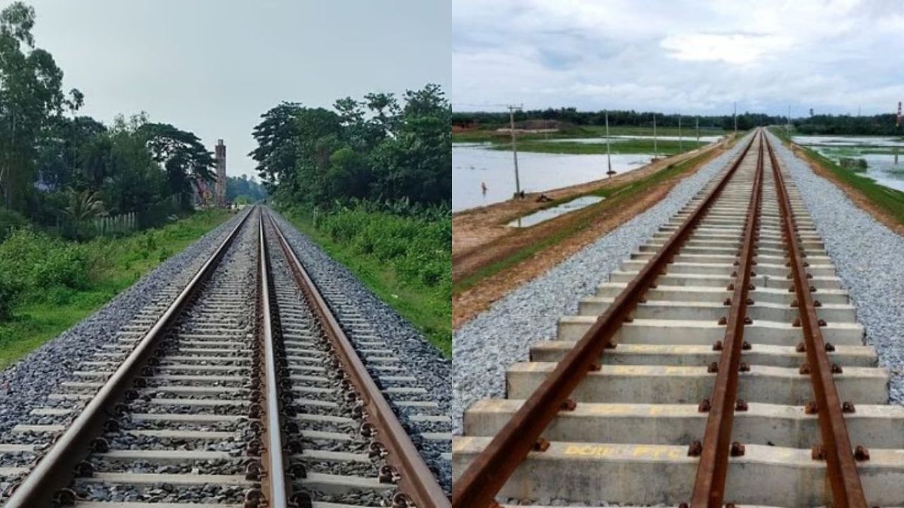 রেলওয়ের লাগানো সাড়ে ৪ লাখ চারা লাপাত্তা 