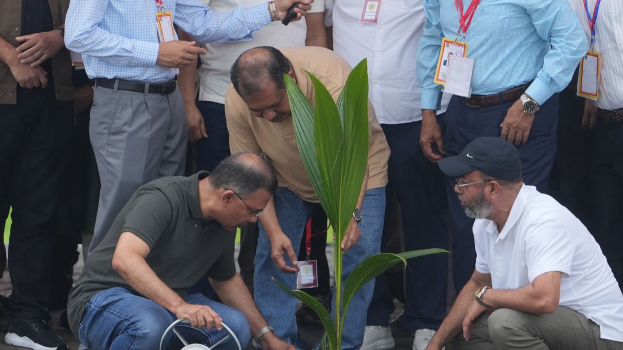 আগামী ৫ বছরে ২৫ কোটি গাছের চারা রোপণ করা হবে: প্রধানমন্ত্রী