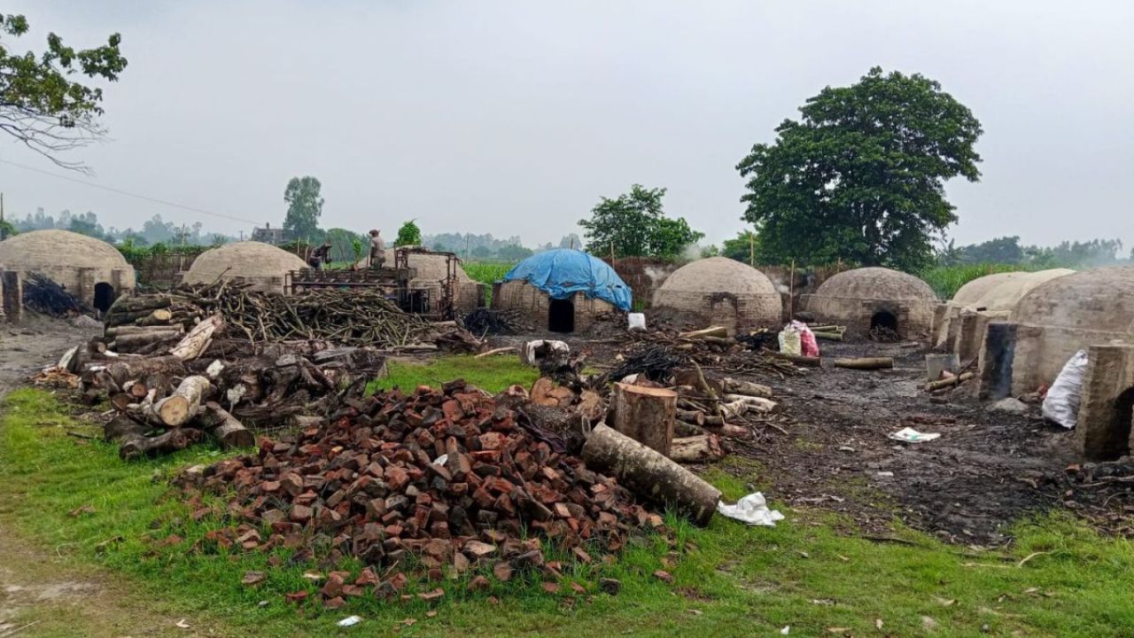  সাঘাটায় অবৈধ কয়লা চুল্লিতে পরিবেশ বিপর্যয়