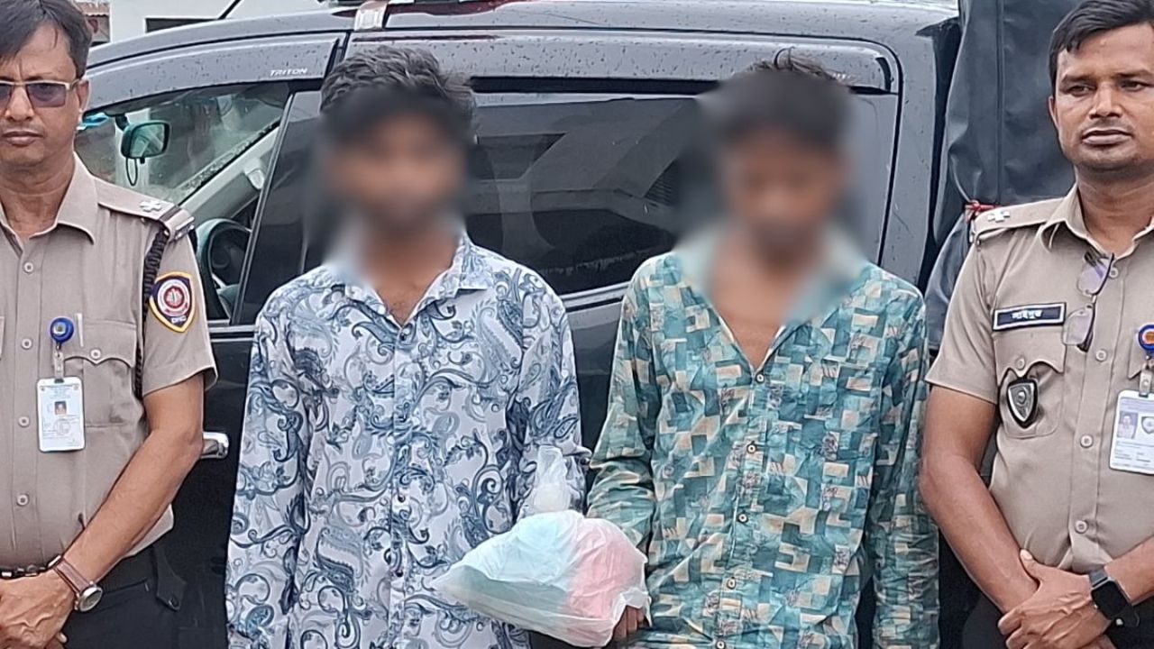 সখিপুরে নিষিদ্ধ বড়িসহ দুই সহোদর গ্রেপ্তার