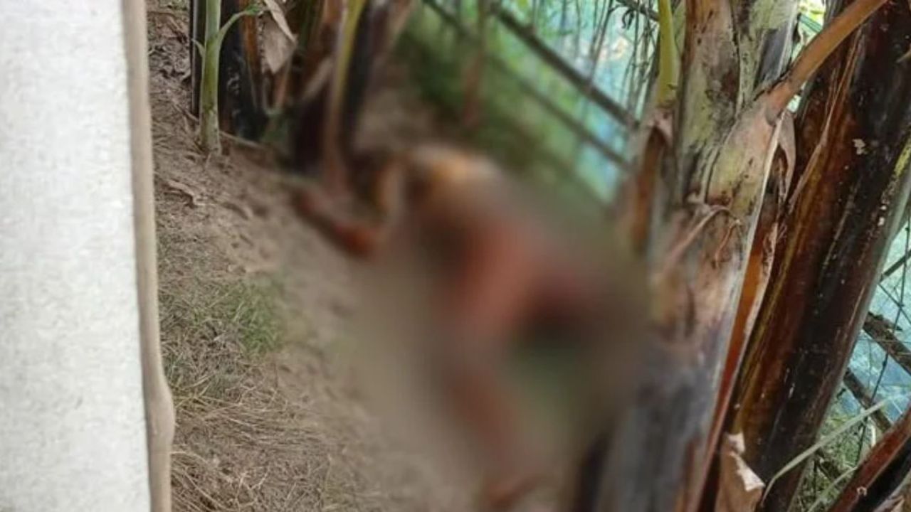 কলাবাগান থেকে নিখোঁজ নৈশপ্রহরীর লাশ উদ্ধার