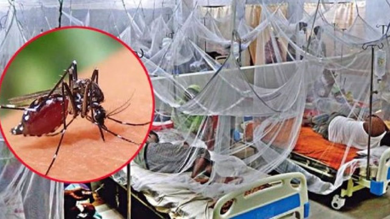 ডেঙ্গুতে একদিনে মৃত্যু ২, আক্রান্ত ৩৯১