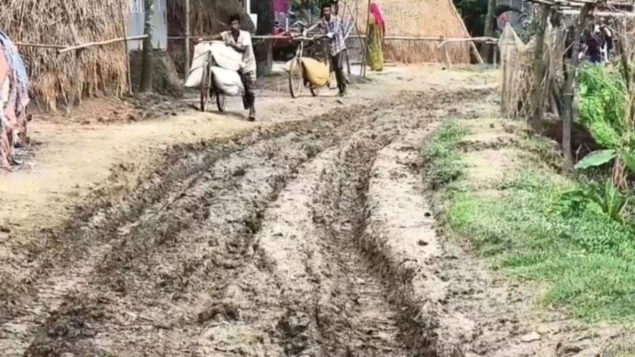 পাকা সড়কের নামে গ্রামীণ সড়কের ইট তুলে বিক্রি, দুর্ভোগে কয়েক হাজার মানুষ