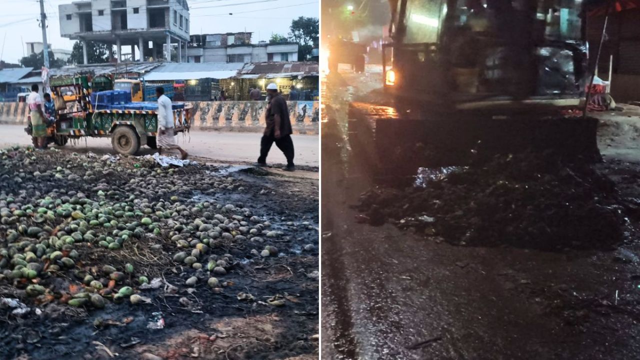  পচা আমের দুর্গন্ধ থেকে মুক্তি পেল সাপাহার আম বাজার