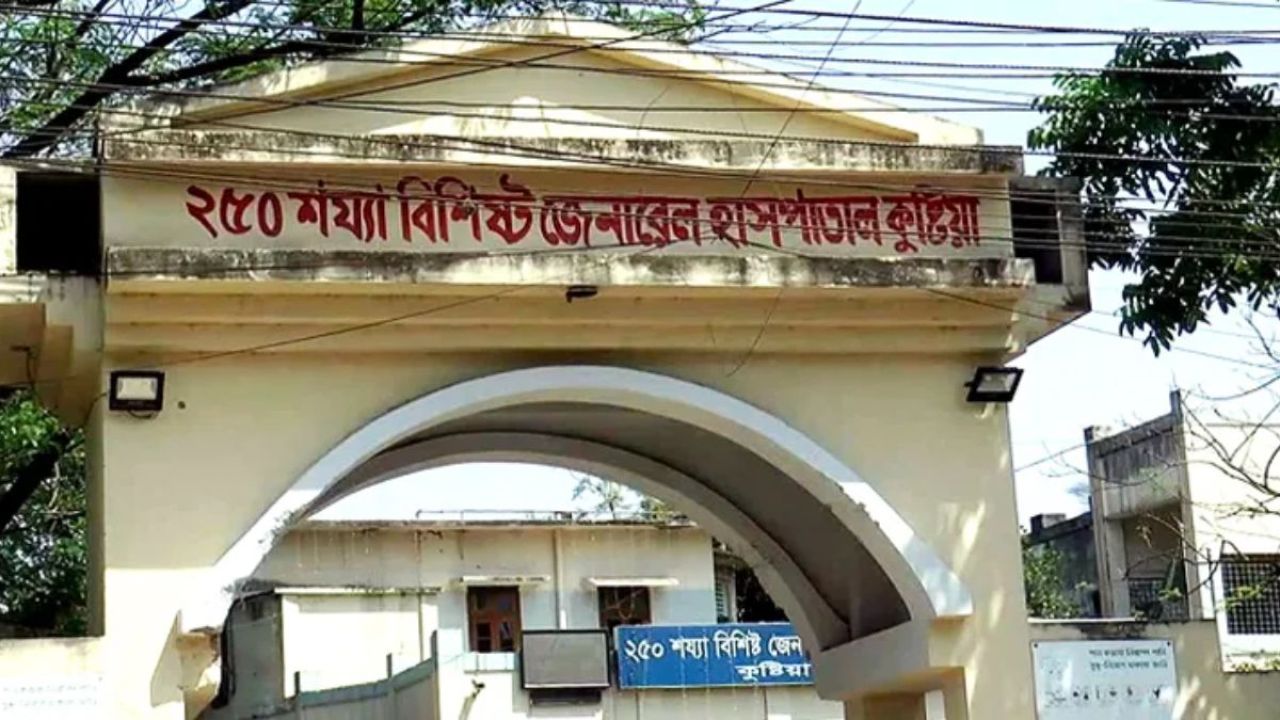 কুষ্টিয়ায় সাপ ধরতে গিয়ে সাপুড়িয়া আহত