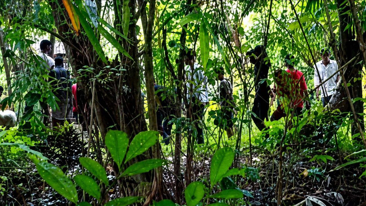 নবীগঞ্জে শিয়ালের কামড়ে নারী-শিশুসহ আহত ৬