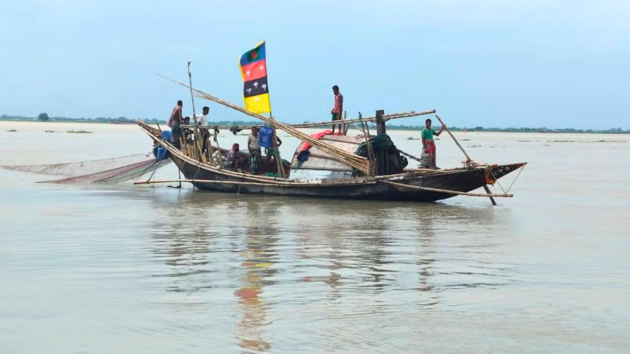 শরীয়তপুরে পদ্মায় ইলিশের আকাল, ৫ বছরে উৎপাদন কমেছে ৮২৩ টন