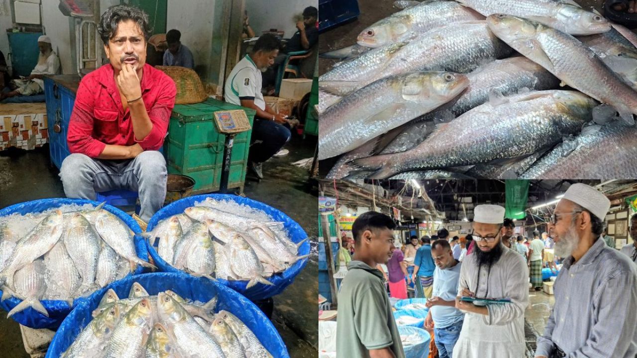 ভরা মৌসুমেও ইলিশের হাহাকার, অনুসন্ধানে নামল বিশেষজ্ঞরা