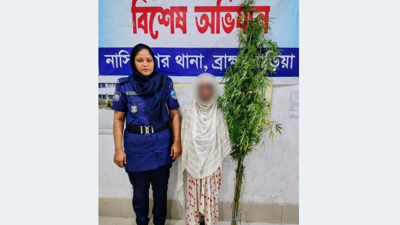 নাসিরনগরে ১২টি গাঁজা গাছসহ নারী গ্রেপ্তার 