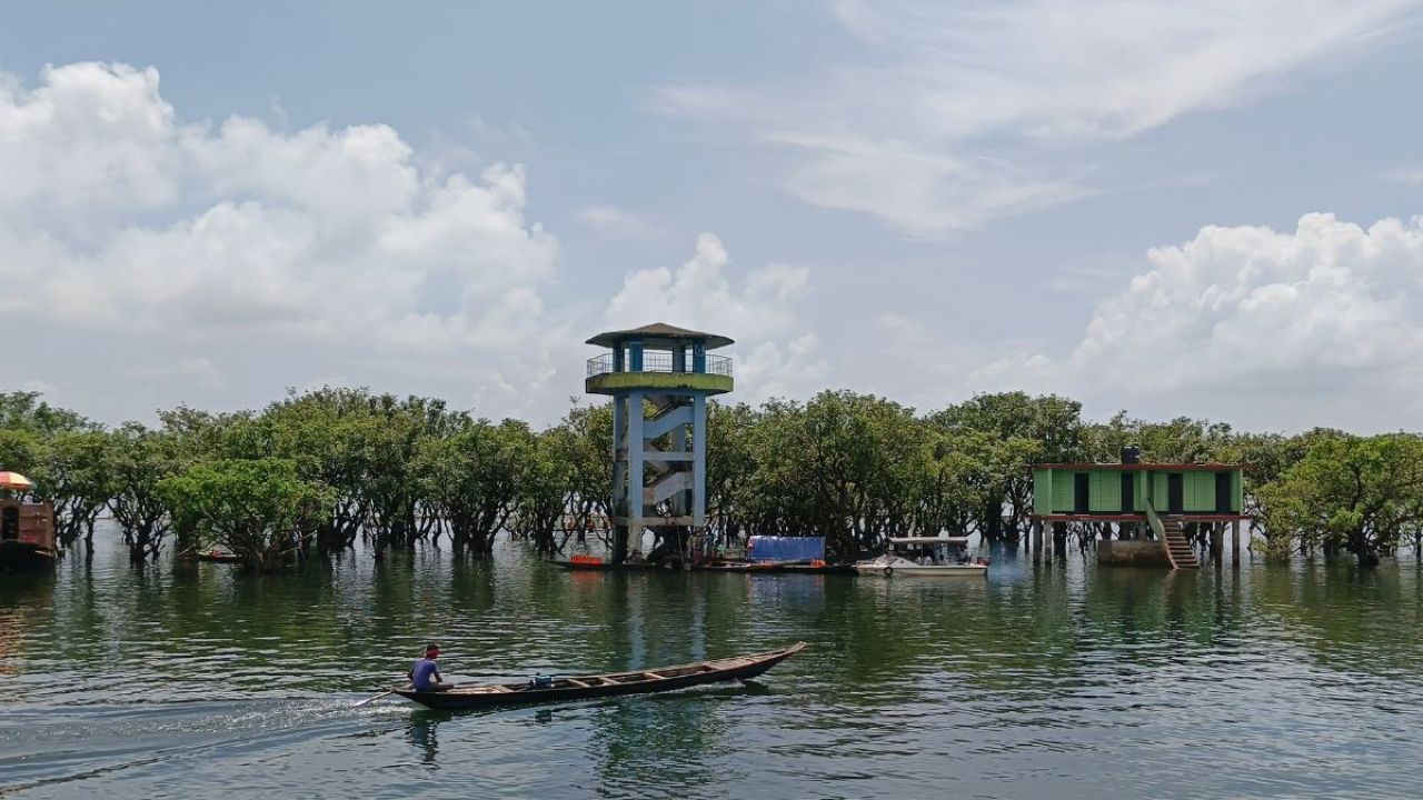 হুমকিতে টাঙ্গুয়ার হাওর: প্রকৃতি বাঁচবে তো?