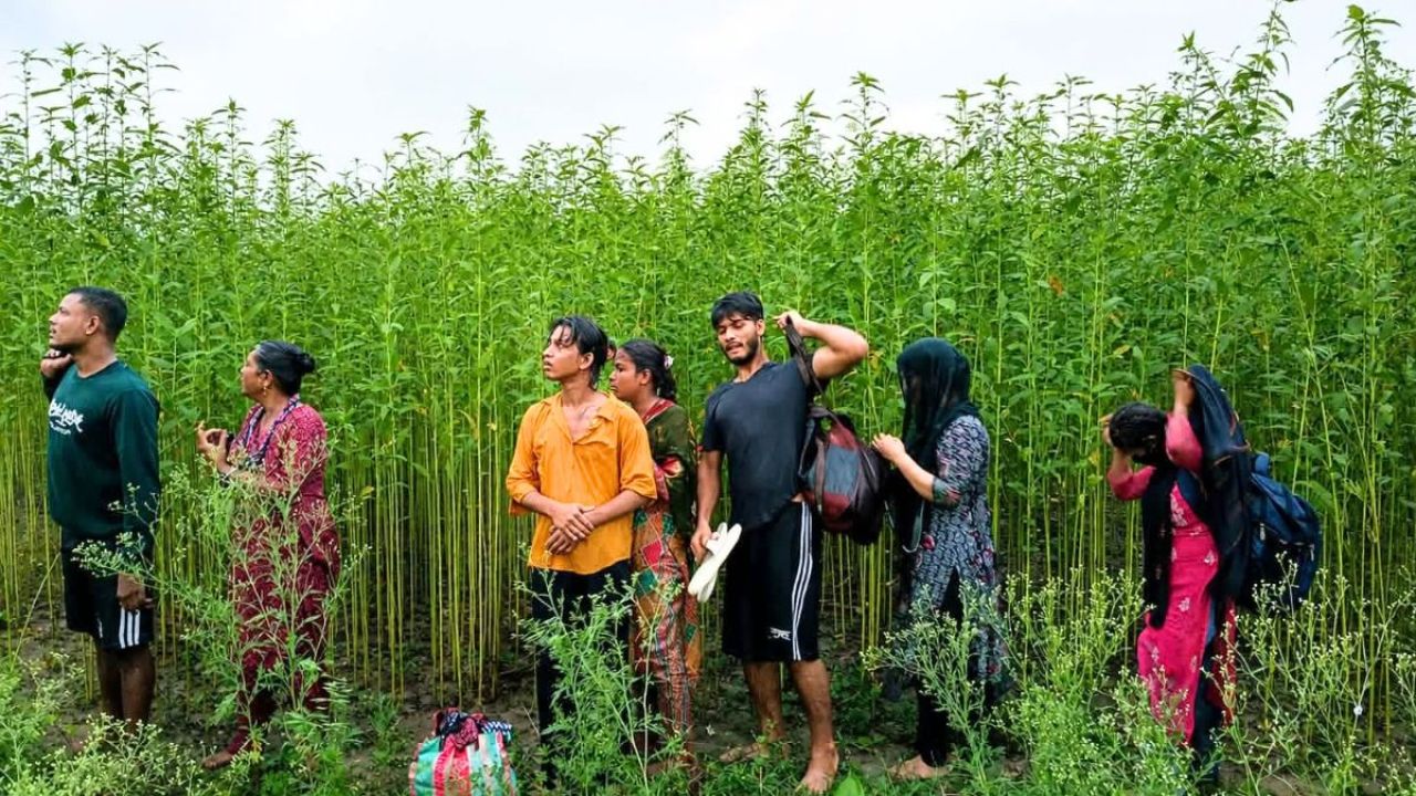 কুষ্টিয়া সীমান্তে বিএসএফের ৮ জনের পুশইন রুখল বিজিবি