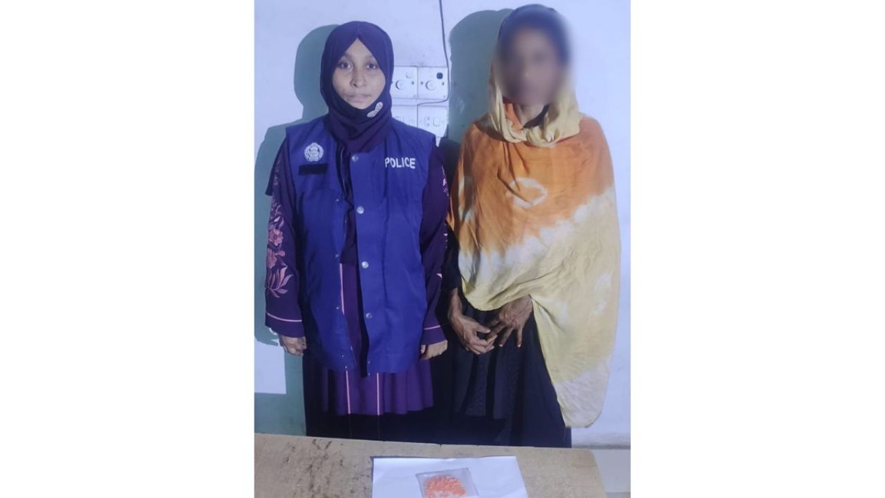 নাসিরনগরে ১০৭ পিস ইয়াবাসহ নারী গ্রেপ্তার