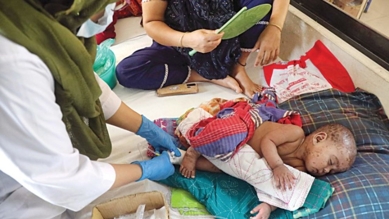 হামে ঝরলো আরও ৬ প্রাণ, মৃত্যু বেড়ে ৮১৬ 